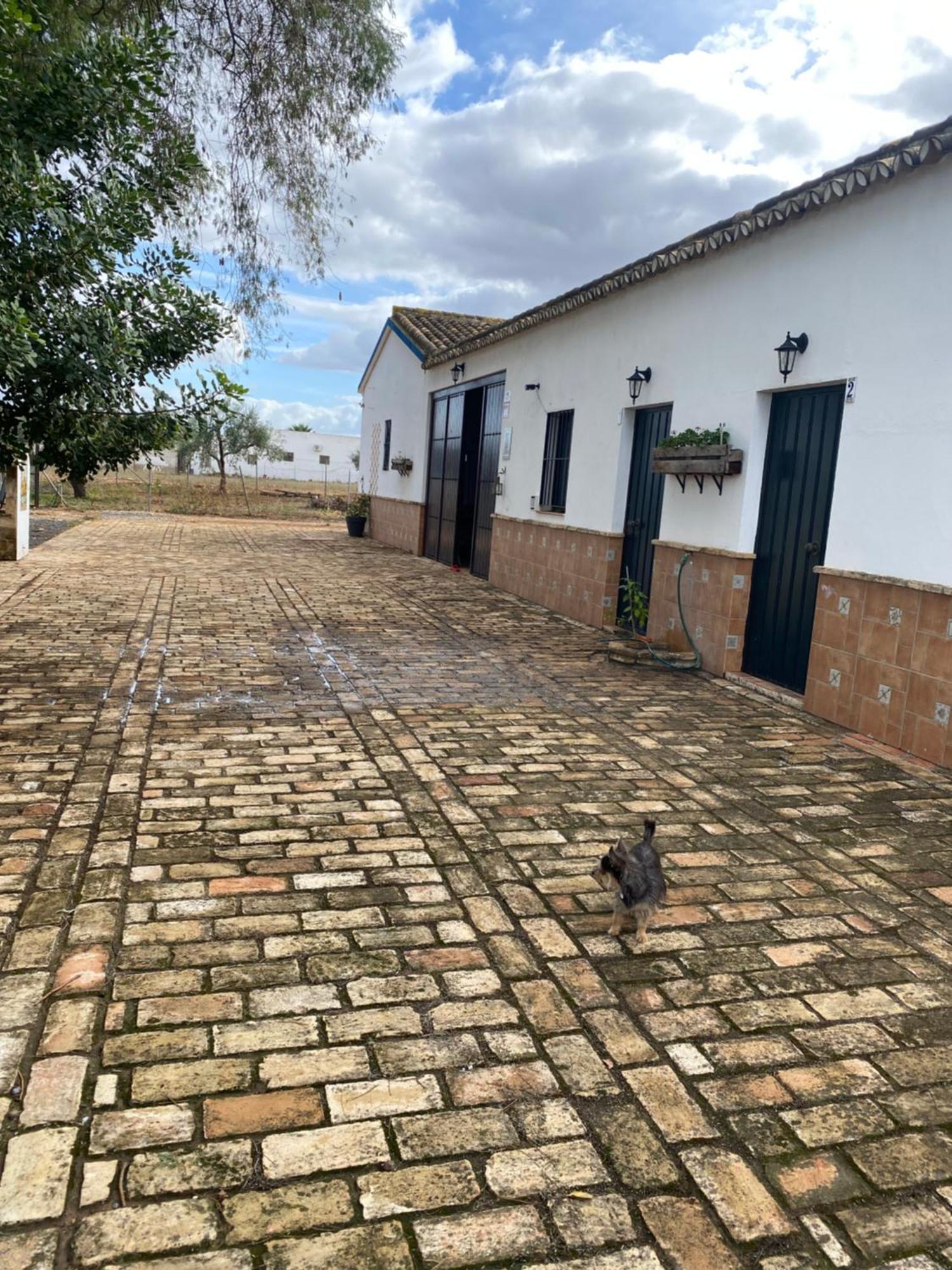 Casa Los Laureles Pilas Eksteriør bilde