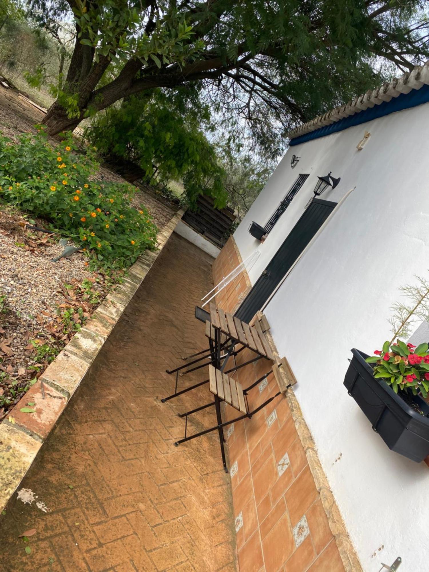 Casa Los Laureles Pilas Eksteriør bilde