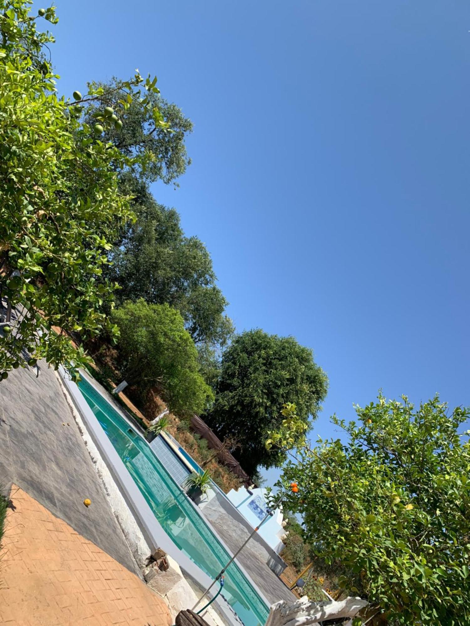 Casa Los Laureles Pilas Eksteriør bilde