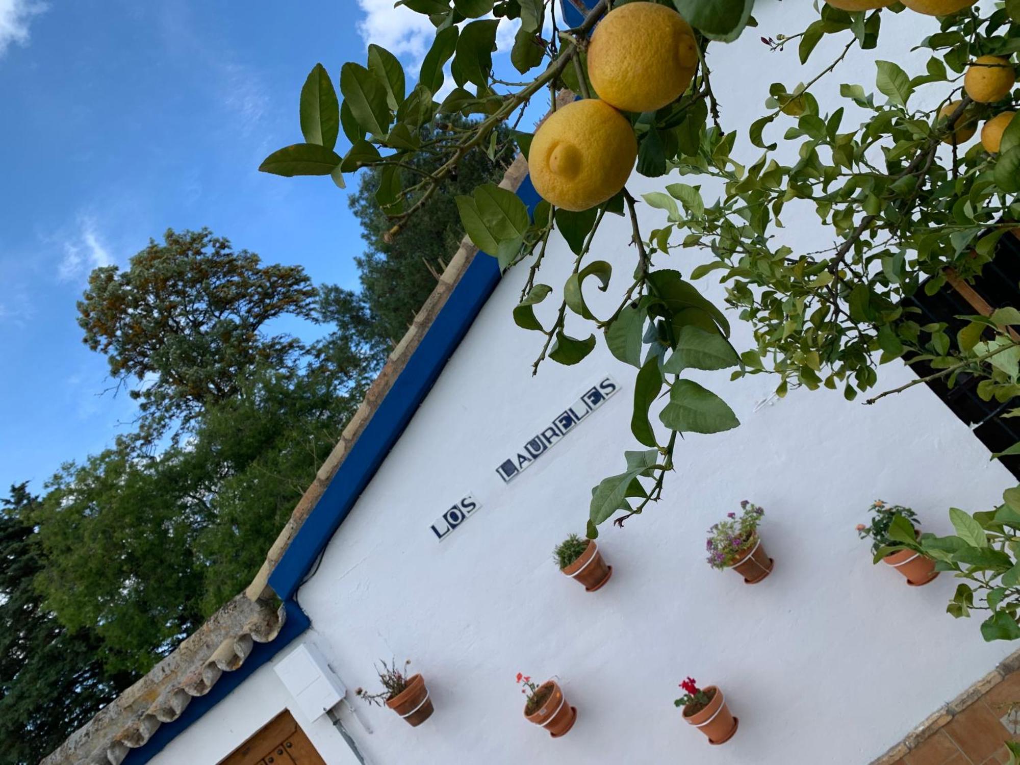 Casa Los Laureles Pilas Eksteriør bilde