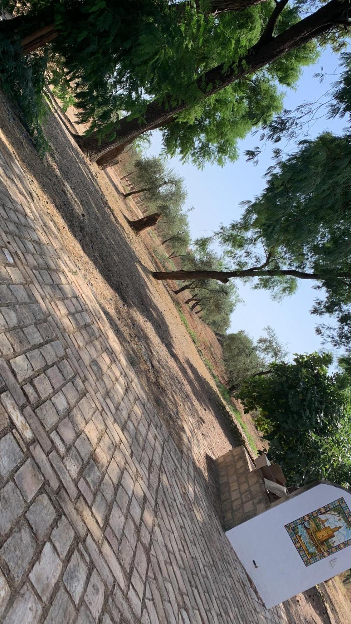 Casa Los Laureles Pilas Eksteriør bilde