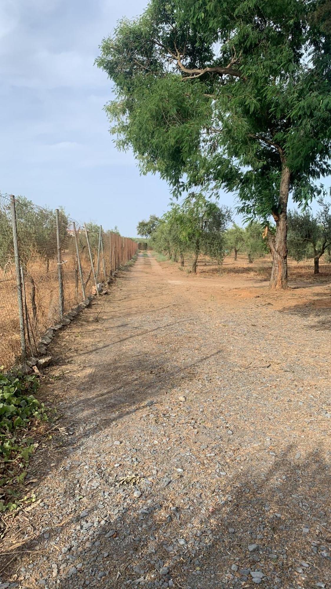 Casa Los Laureles Pilas Eksteriør bilde