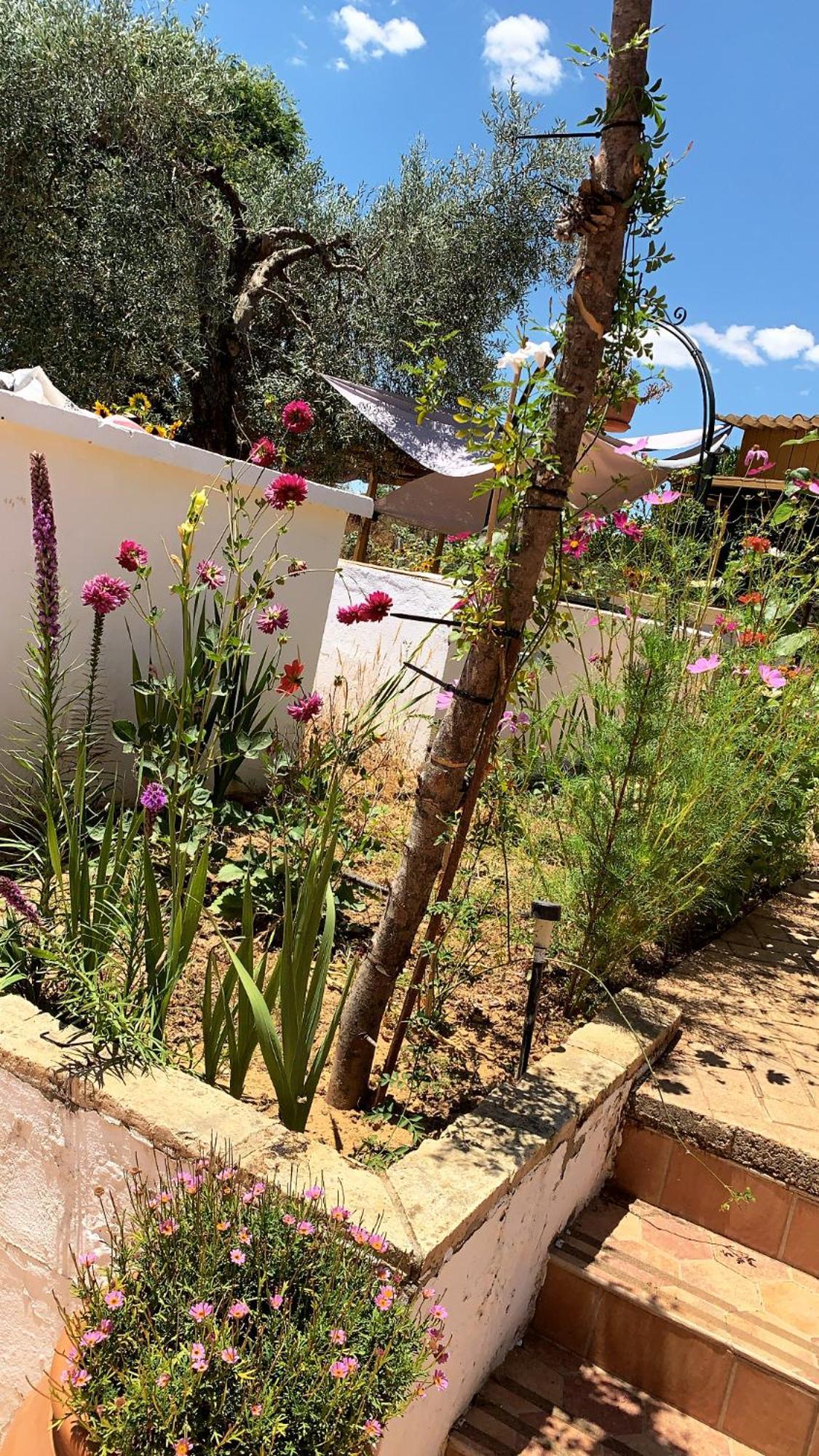 Casa Los Laureles Pilas Eksteriør bilde